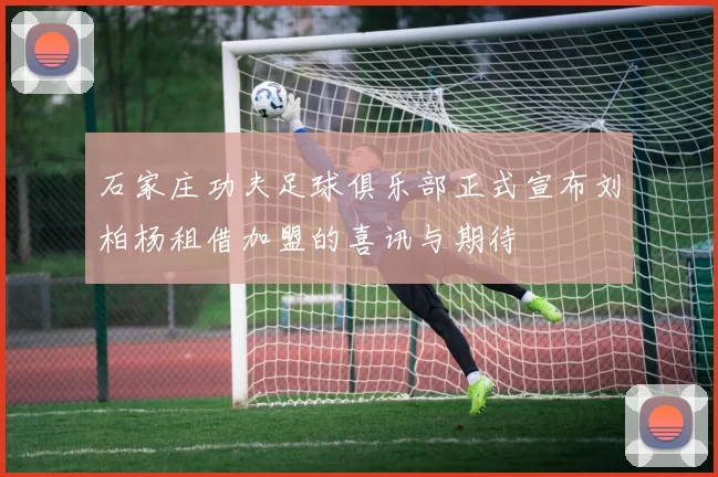 石家庄功夫足球俱乐部正式宣布刘柏杨租借加盟的喜讯与期待