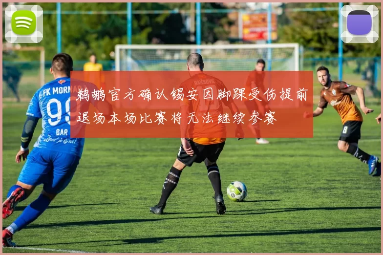 鹈鹕官方确认锡安因脚踝受伤提前退场本场比赛将无法继续参赛